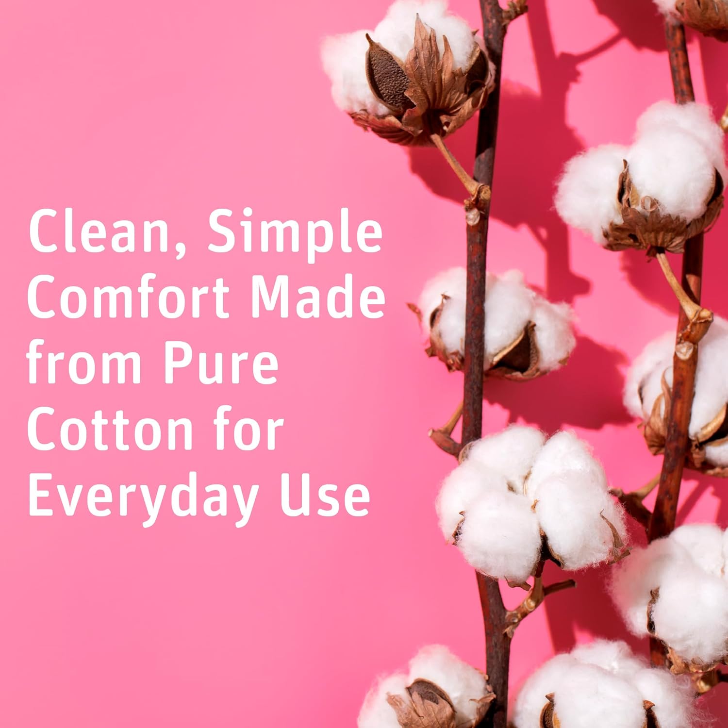 100% Pure Cotton Balls (600 Co - đánh giá và giá Xl Skincare